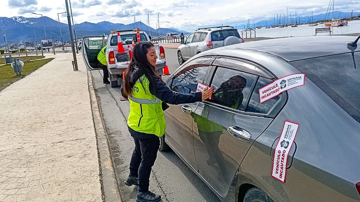 photo_2025-12-11_10-59-15